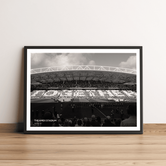 Amex Stadium Brighton & hove Albion Photography Print