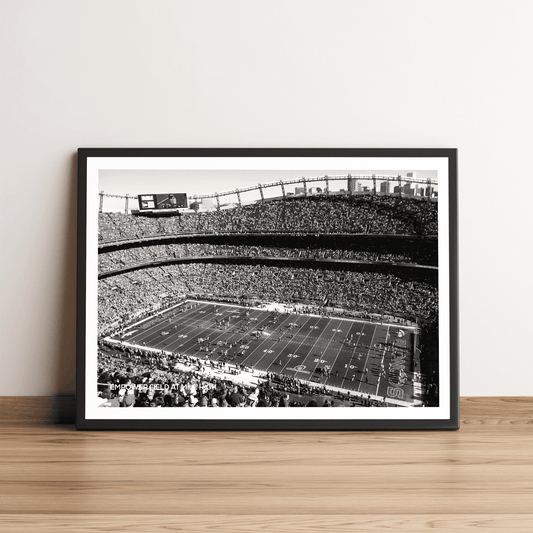 Empower Field at Mile High Denver Broncos NFL Football Stadium Print