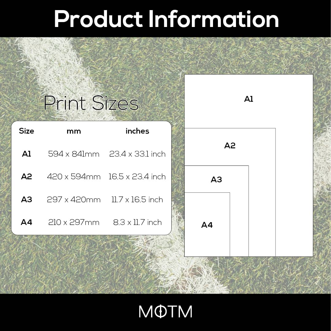 Francesco Totti Roma Legend Stats Print - Man of The Match Football