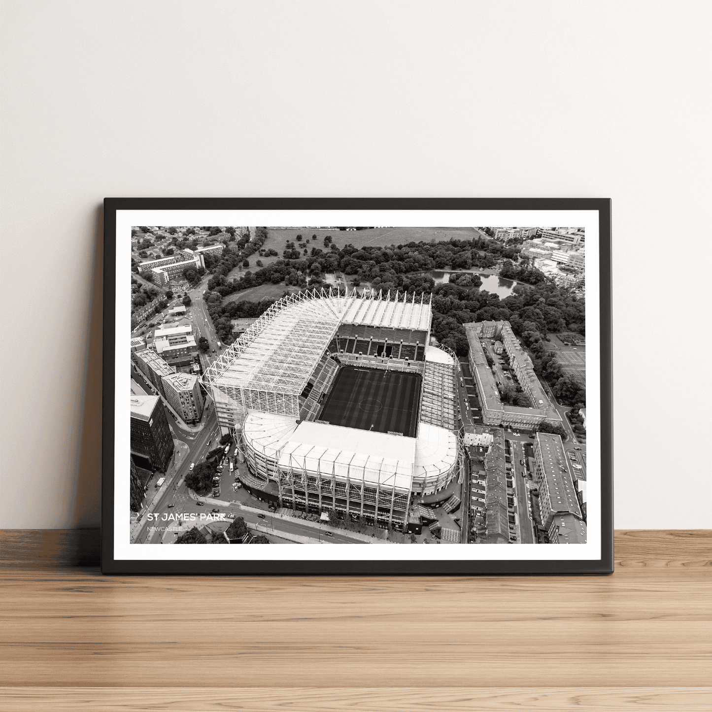 St James' Park Newcastle Aerial Stadium Photography Print