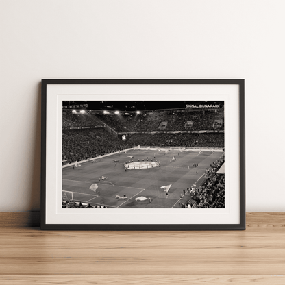 Signal Iduna Park Borussia Dortmund Stadium Photography Print